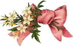 Blommor